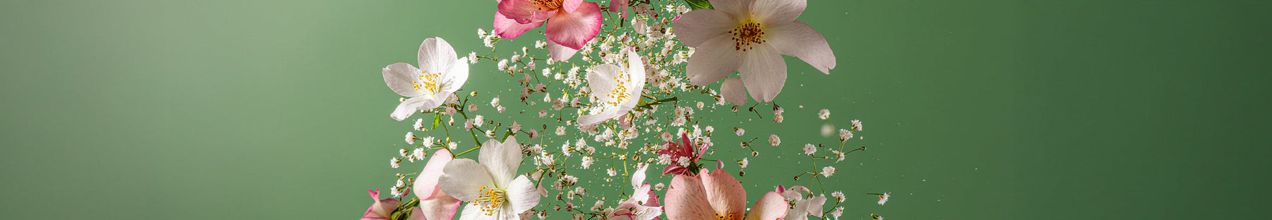 Floral Casamorati